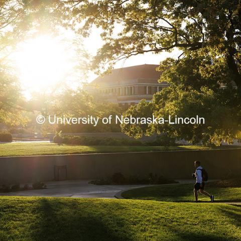 Morning sunlight shines on a student as they walk to class through the Sheldon Sculpture Gardens. October 25, 2024. Photo by Jordan Opp / University Communication and Marketing.